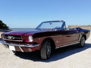 Mustang