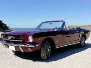 Mustang