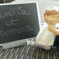 Déco plumes venise perles - 5