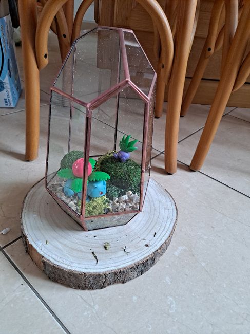 Déco mariage terrarium et aquarium 5