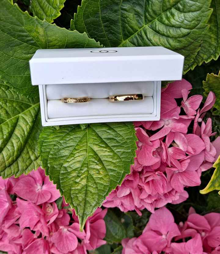 Alliances réceptionnées - 1