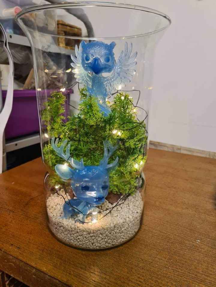 Déco mariage terrarium et aquarium - 1