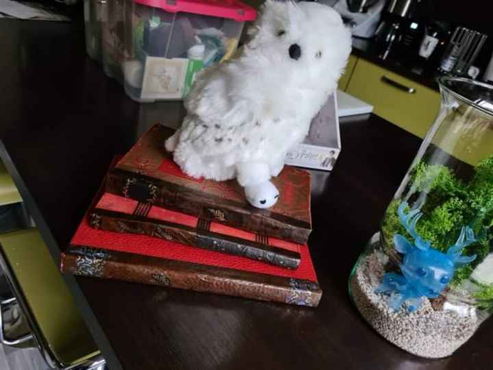 Déco mariage terrarium et aquarium - 2