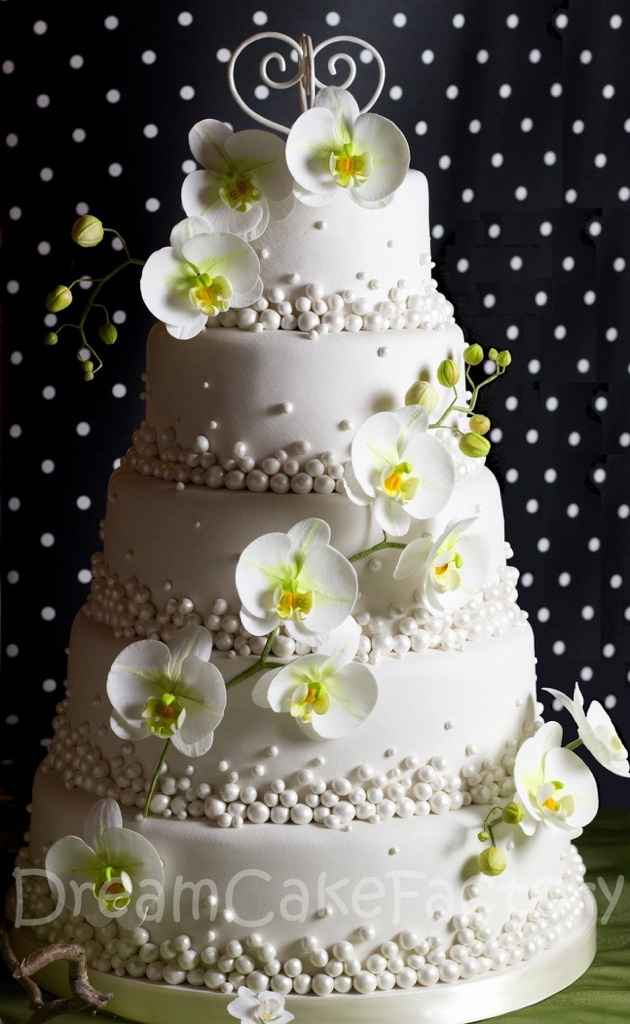 Theme orchidee - 5