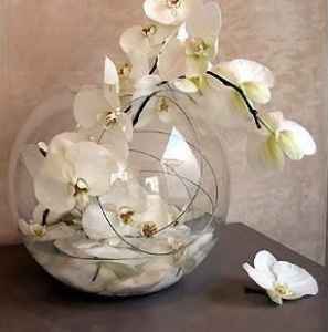Theme orchidee - 10