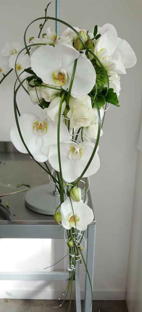 Theme orchidee - 11