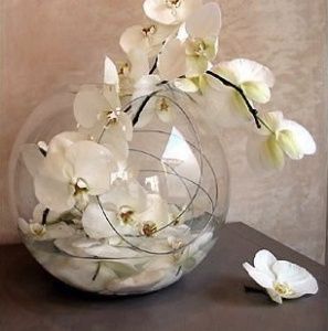 Theme orchidee - 6