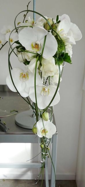 Theme orchidee - 11