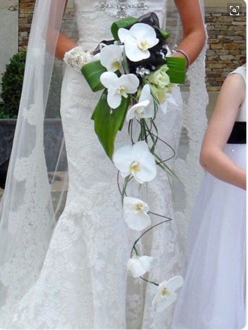 Avez-vous choisi vos bouquet de fleurs ?  - 1