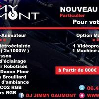 Help dj leila - manoir des cygnes - 1