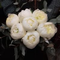 Essaie floral et avancée des préparatifs ! - 1