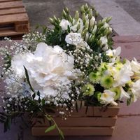 Essaie floral et avancée des préparatifs ! - 2