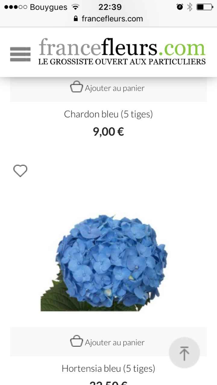  Gerbera bleu (foncé) - 1