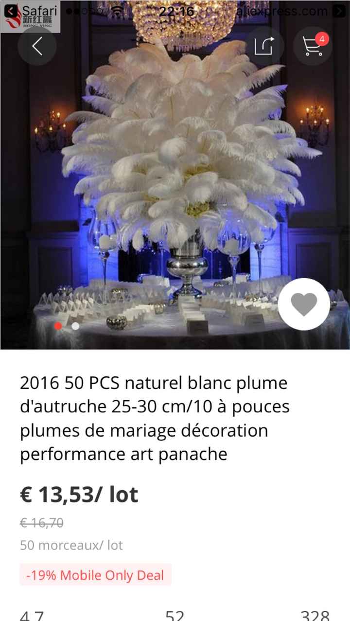 plume dautruche - 1