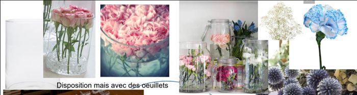 fleurs choisies