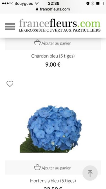 Gerbera bleu (foncé) - 1