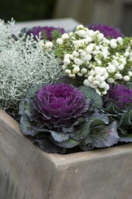  Bouquet de Mariée - 1