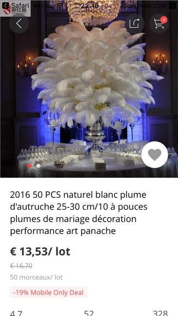 plume dautruche - 1