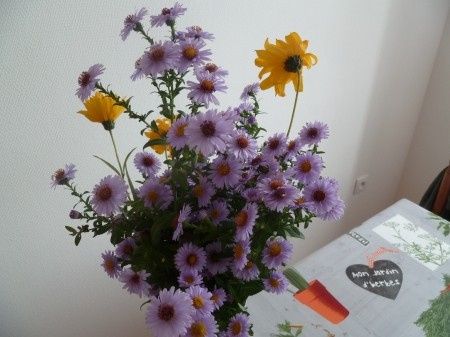 quelques idées de fleur