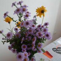 quelques idées de fleur