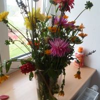 mélange de couleurs