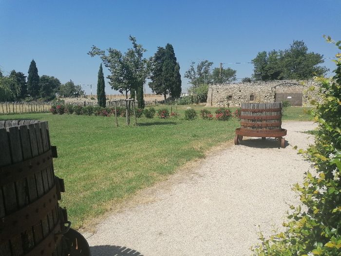 Décoration extérieure 2