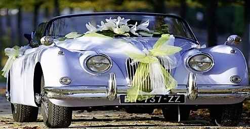 Décoration de voiture