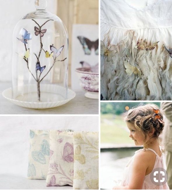 Inspiration thème papillon - 5