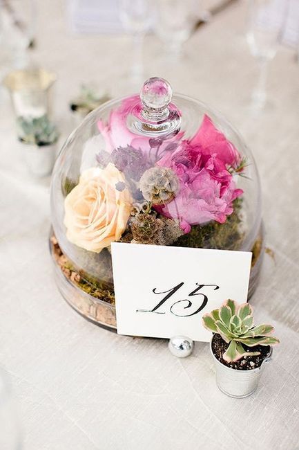 Cloche