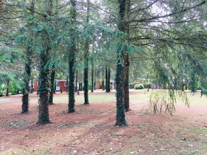 Contre visite du domaine - 3