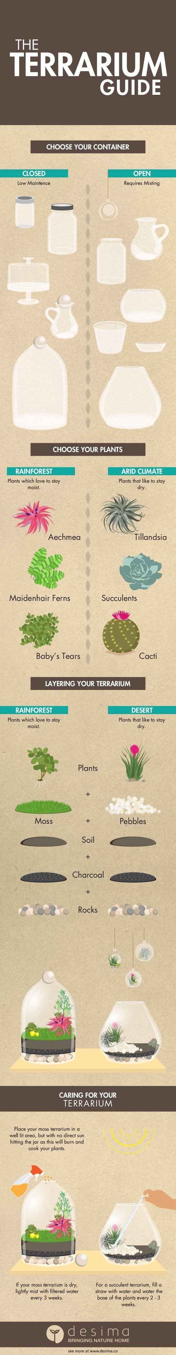 guide terrarium