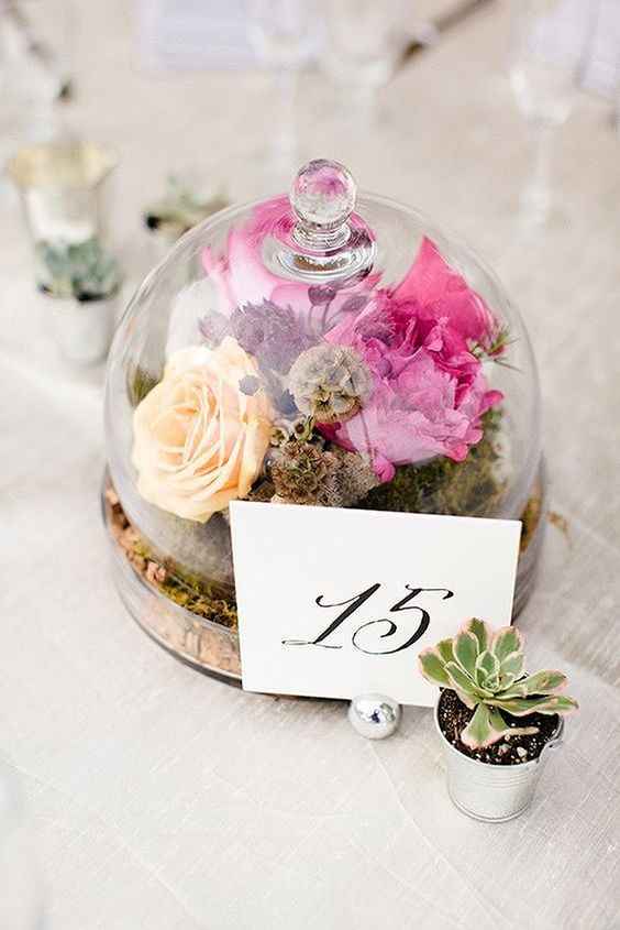 Cloche