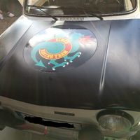 J-6 voici ma déco de voiture champêtre. - 3