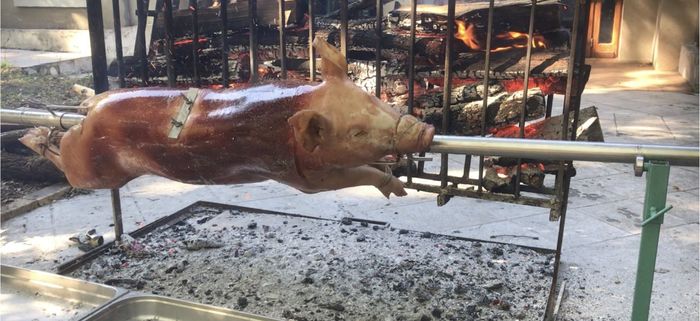 Cochon de lait - tarif - 1