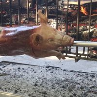 Cochon de lait - tarif - 1