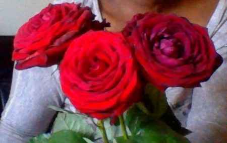 mes roses a  moins de 1 euros la rose