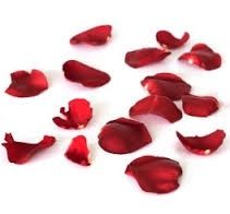 N°3: Pétales de felurs