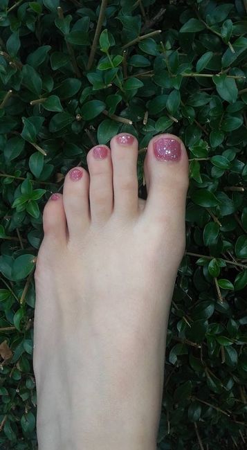 Verni pied 