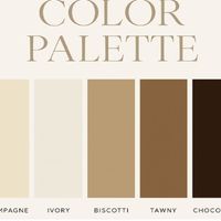 Future Bride été 2027 - Toulouse. - 1