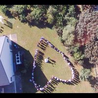 Un mariage comme je l'ai rêvé - 5