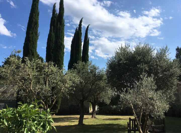 Vin d'honneur : intérieur ou extérieur ? - 3