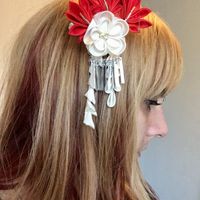 Mon accessoire pour les cheveux est arrivé ! - 2