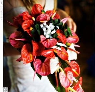 les anthuriums