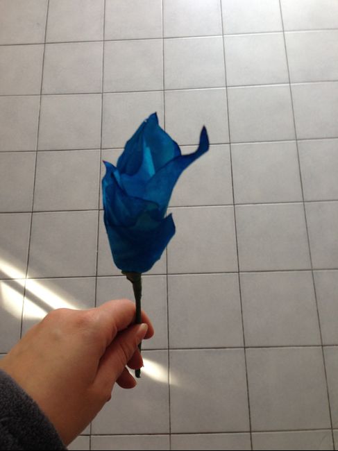 Deuxième essai des fleurs en filtres