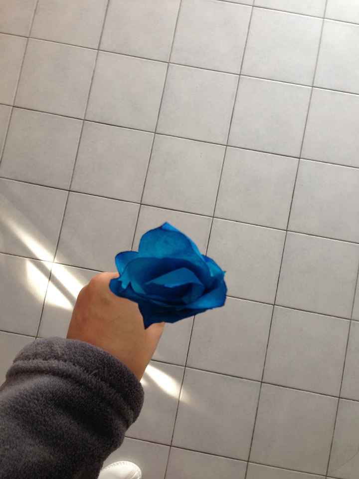 Deuxième essai des fleurs en filtres