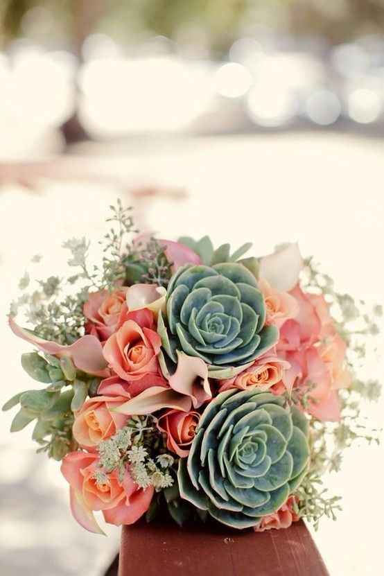 bouquet succulente