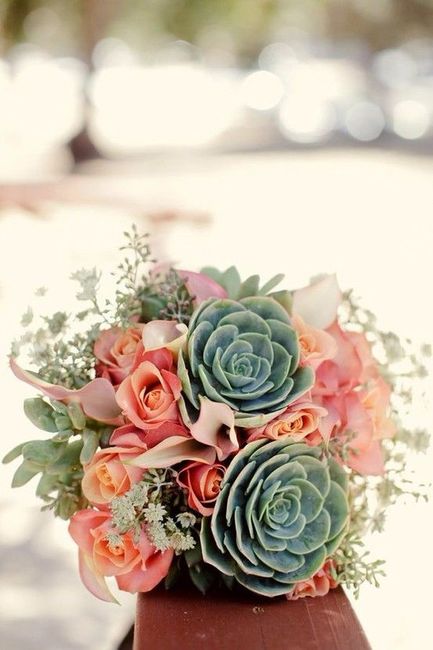 bouquet succulente
