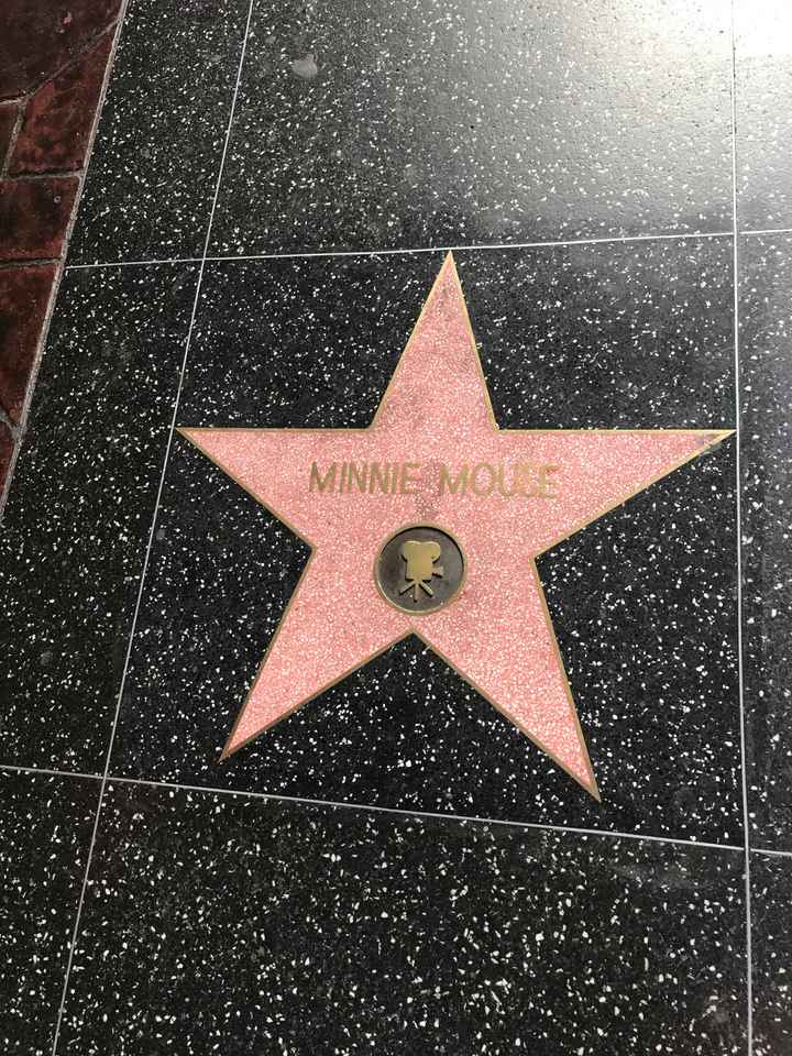 Retour de lune de miel 👌🏼❤️ - 1