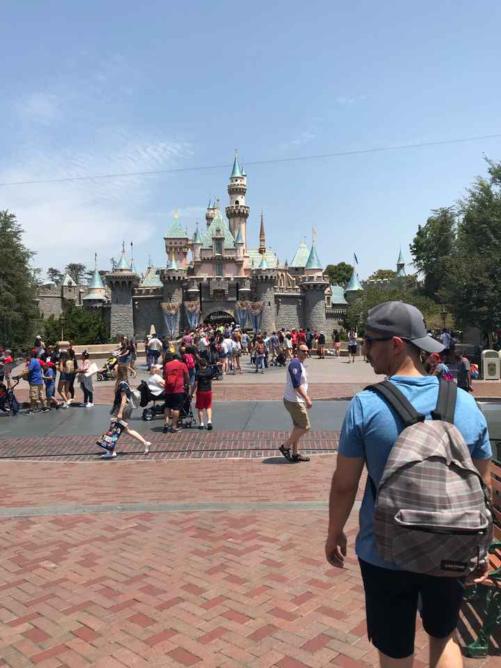 Retour de lune de miel 👌🏼❤️ - 5