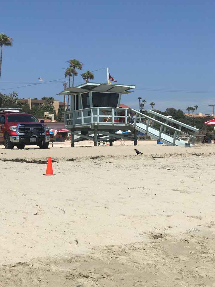 Retour de lune de miel 👌🏼❤️ - 8